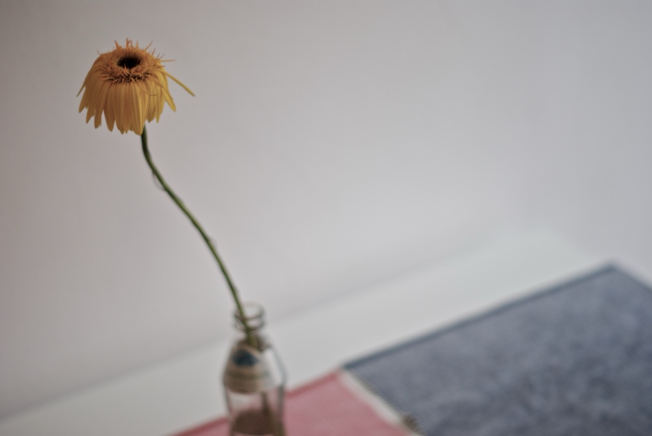 Broken Flowers