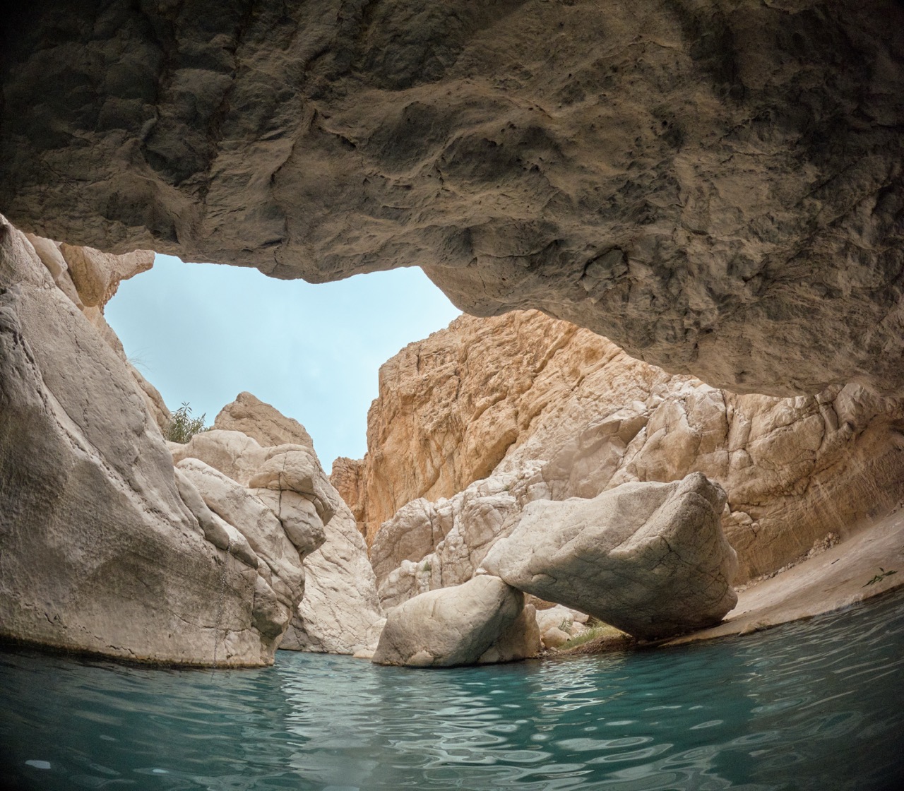 Oman X